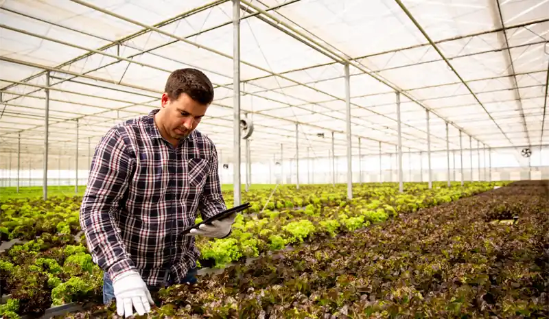 Roofing service management